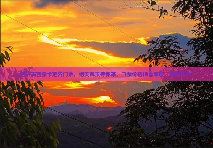 绍兴去西藏卡定沟门票