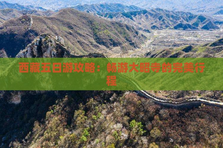 七月到西藏大昭寺五日游