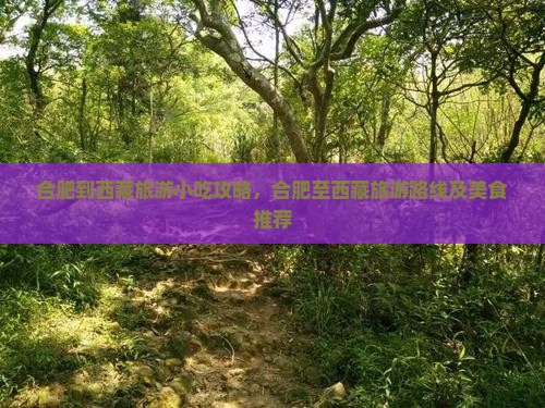 合肥到西藏旅游小吃