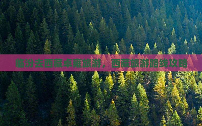 临汾去西藏羊卓雍措旅游