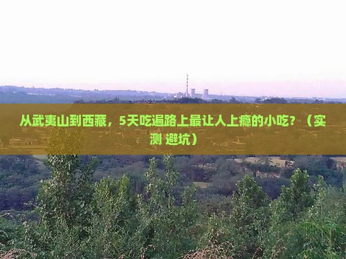 武夷山到西藏旅游小吃