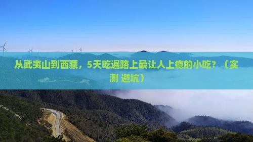 武夷山到西藏旅游小吃