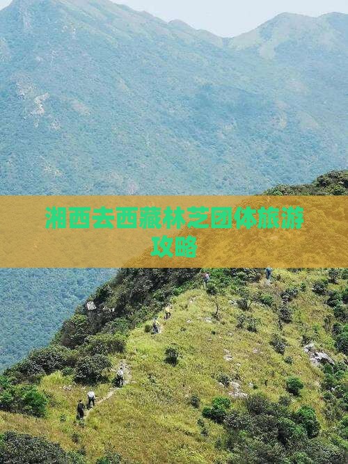 湘西去西藏林芝团体旅游