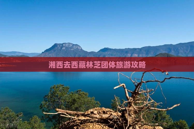 湘西去西藏林芝团体旅游