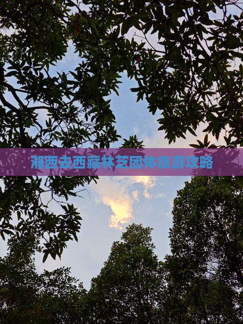 湘西去西藏林芝团体旅游