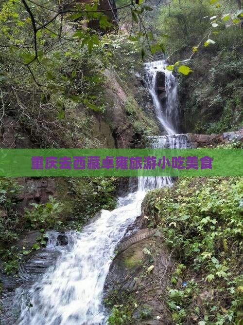 重庆去西藏羊卓雍措旅游小吃