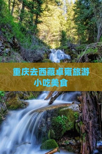 重庆去西藏羊卓雍措旅游小吃