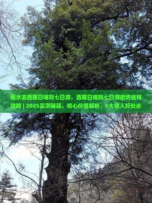丽水去西藏日喀则七日游