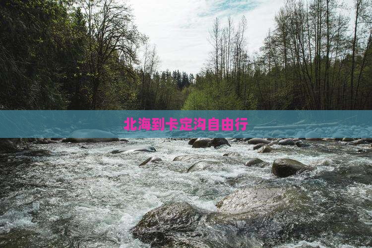 北海到西藏卡定沟自由行