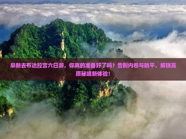 阜新去西藏布达拉宫六日游