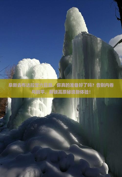 阜新去西藏布达拉宫六日游
