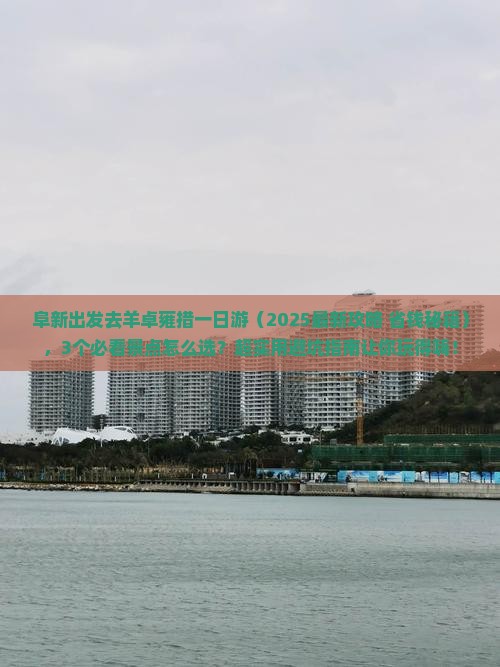 阜新去西藏羊卓雍措一日