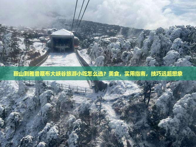 鞍山到西藏雅鲁藏布大峡谷旅游小吃