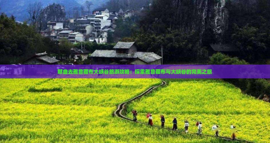 那曲去西藏雅鲁藏布大峡谷团体旅游
