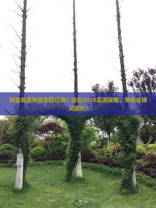 阿克苏到西藏林芝四日游