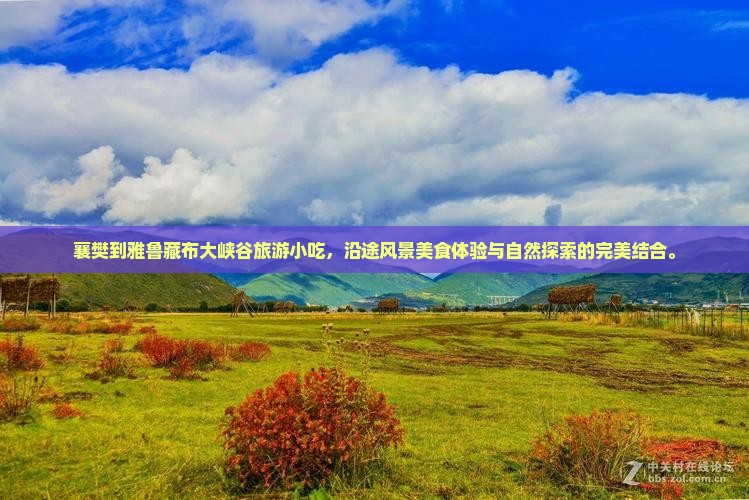 襄樊到西藏雅鲁藏布大峡谷旅游小吃
