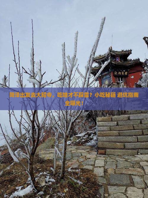 菏泽去西藏大昭寺旅游小吃