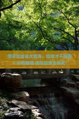菏泽去西藏大昭寺旅游小吃