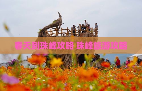 春天到西藏珠峰大本营攻略
