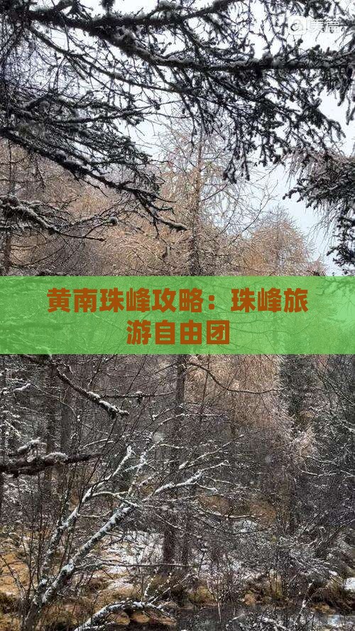 黄南去西藏珠峰大本营自由团