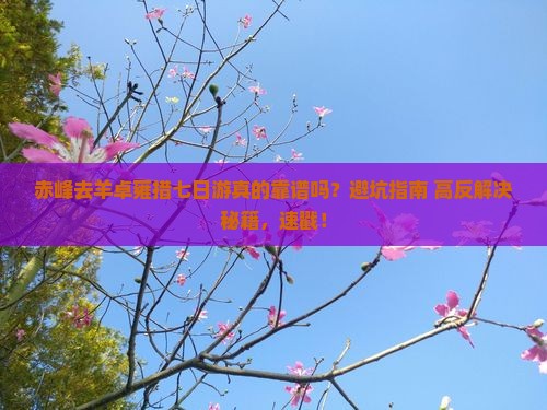 赤峰去西藏羊卓雍措七日游