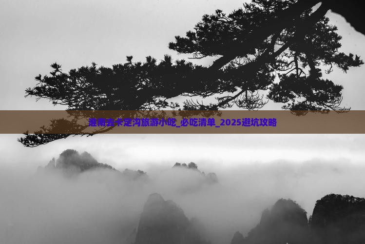 淮南去西藏卡定沟旅游小吃