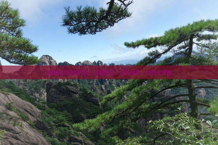 武威到西藏大昭寺门票