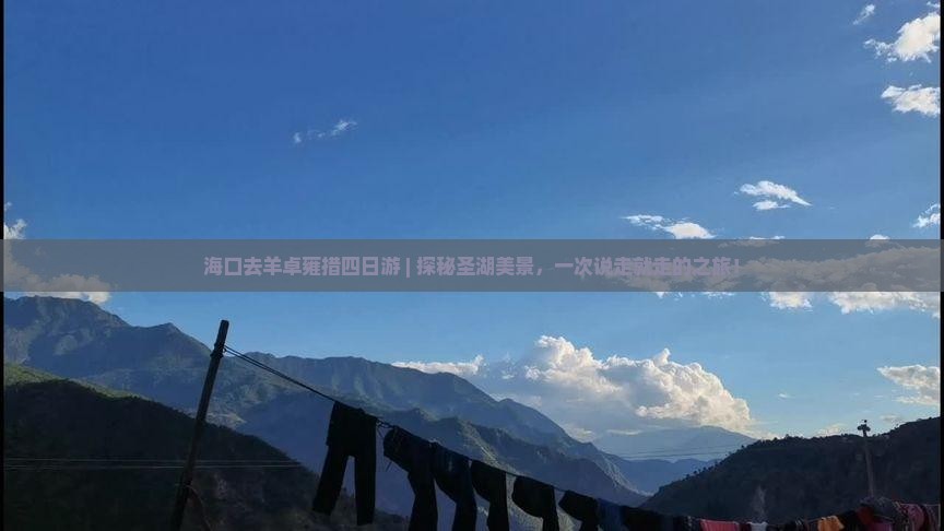 海口去西藏羊卓雍措四日游
