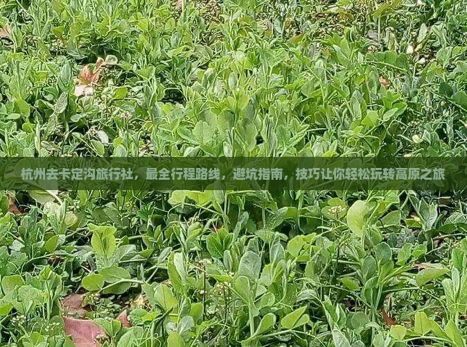 杭州去西藏卡定沟旅行社