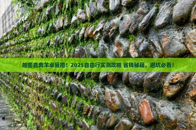 哈密到西藏羊卓雍措自由团