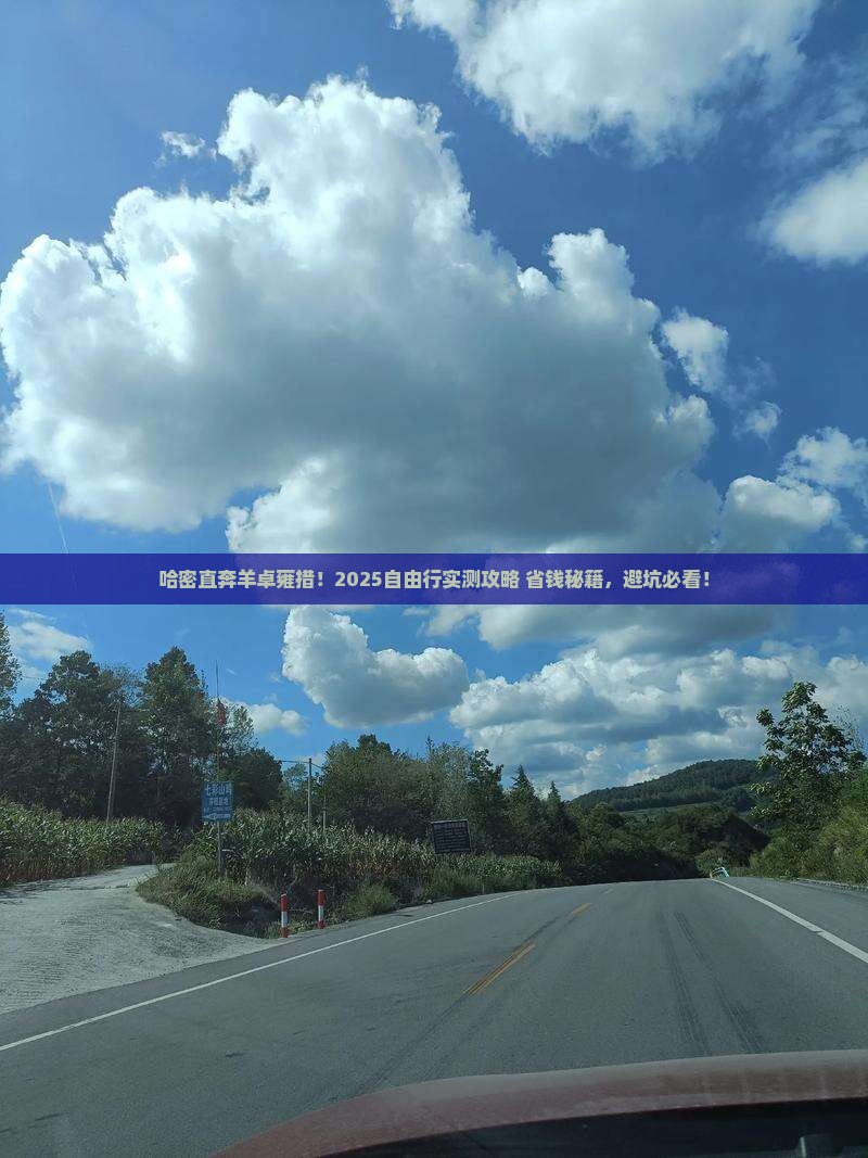 哈密到西藏羊卓雍措自由团