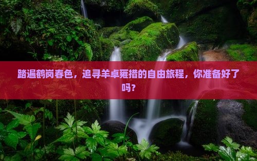 踏遍鹤岗春色，追寻羊卓雍措的自由旅程，你准备好了吗？