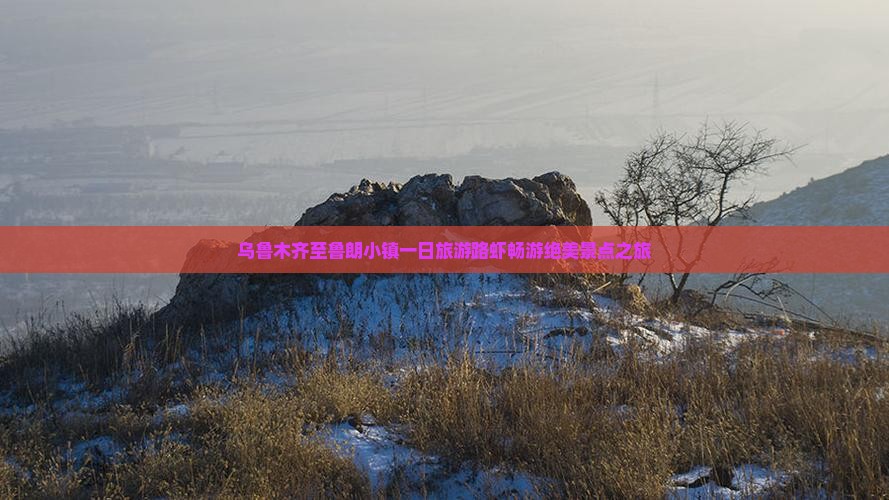 乌鲁木齐至鲁朗小镇一日旅游路虾畅游绝美景点之旅