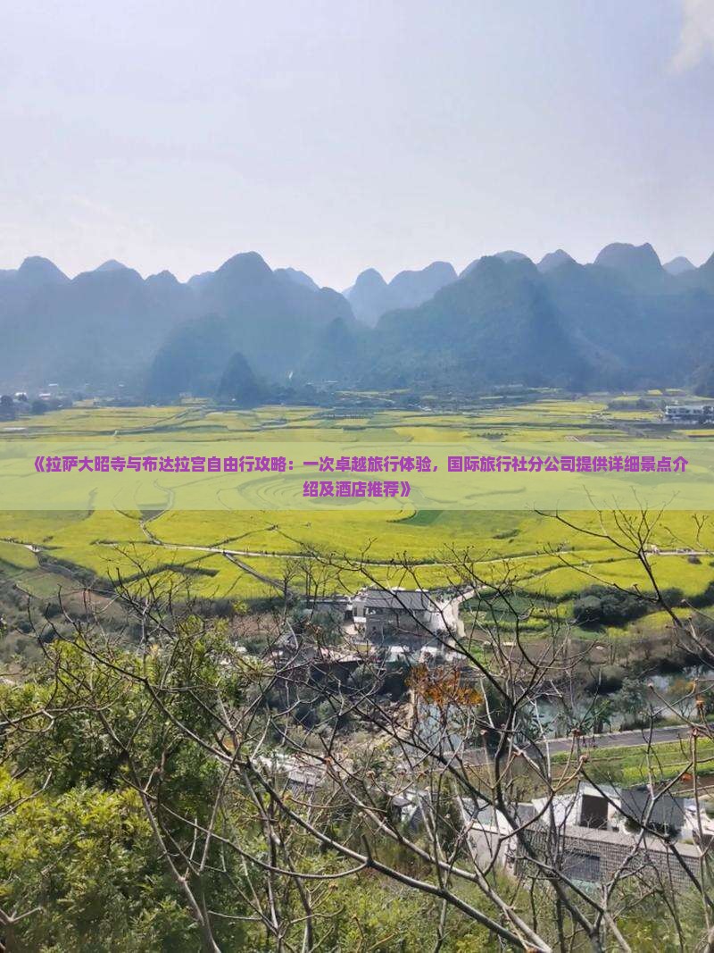 《拉萨大昭寺与布达拉宫自由行攻略：一次卓越旅行体验，国际旅行社分公司提供详细景点介绍及酒店推荐》
