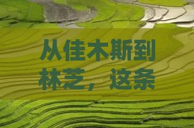 从佳木斯到林芝，这条路会带我去哪儿？