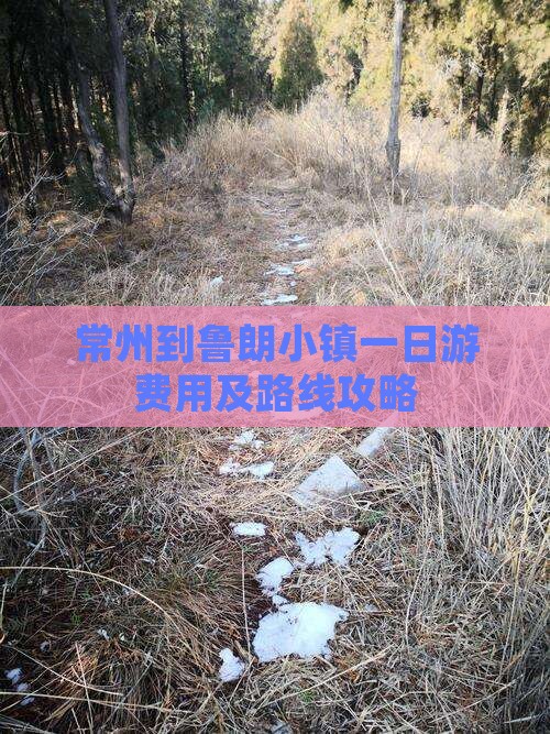 常州到鲁朗小镇一日游费用及路线攻略