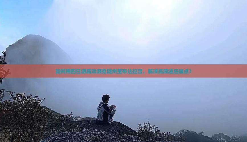 如何用四日游高效游览随州至布达拉宫，解决高原适应痛点？