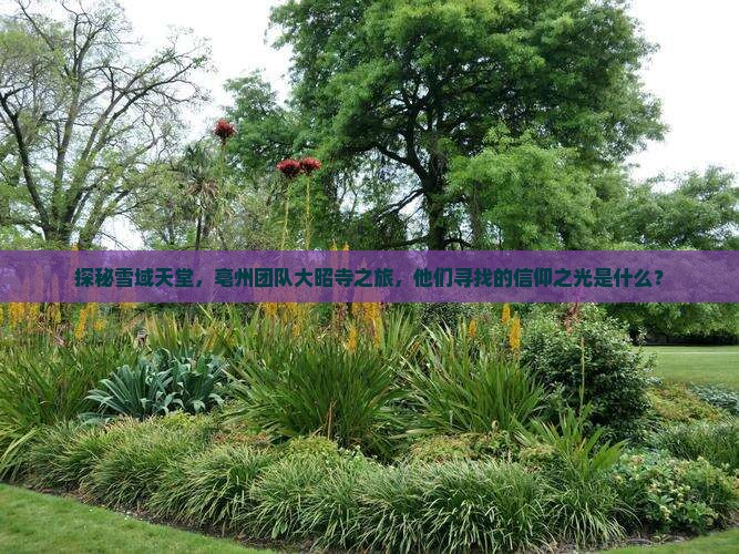 探秘雪域天堂，亳州团队大昭寺之旅，他们寻找的信仰之光是什么？