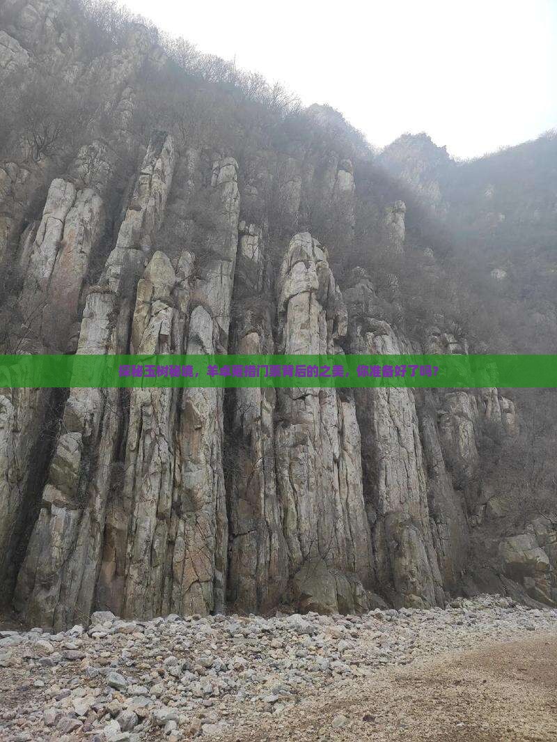 探秘玉树秘境，羊卓雍措门票背后的之美，你准备好了吗？