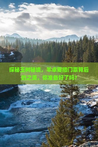 探秘玉树秘境，羊卓雍措门票背后的之美，你准备好了吗？