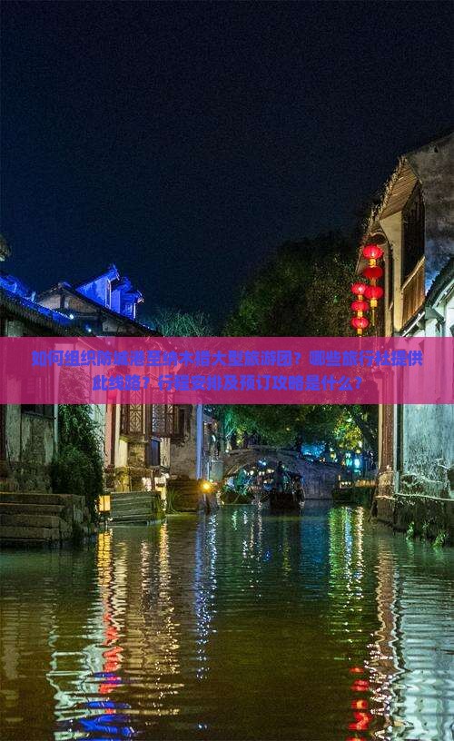 如何组织防城港至纳木措大型旅游团？哪些旅行社提供此线路？行程安排及预订攻略是什么？