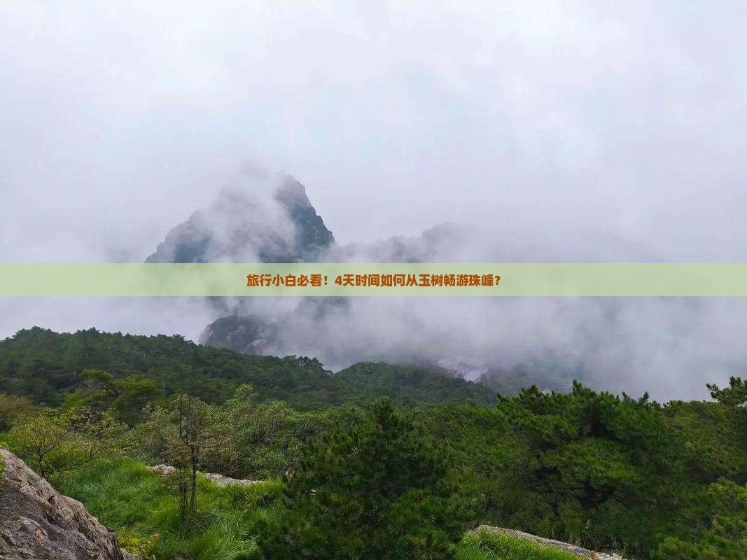 旅行小白必看！4天时间如何从玉树畅游珠峰？