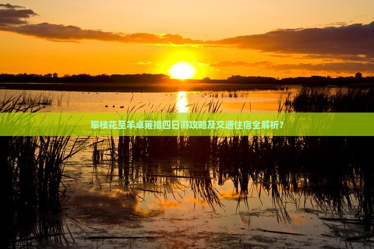 攀枝花至羊卓雍措四日游攻略及交通住宿全解析？