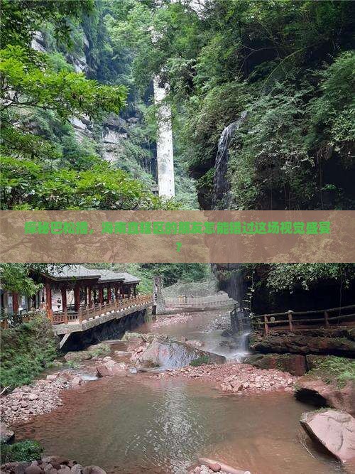 探秘巴松措，海南直辖区的朋友怎能错过这场视觉盛宴？