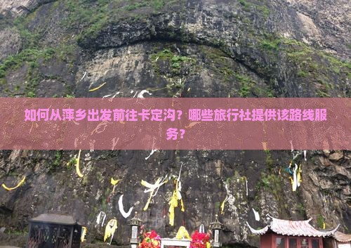 如何从萍乡出发前往卡定沟？哪些旅行社提供该路线服务？