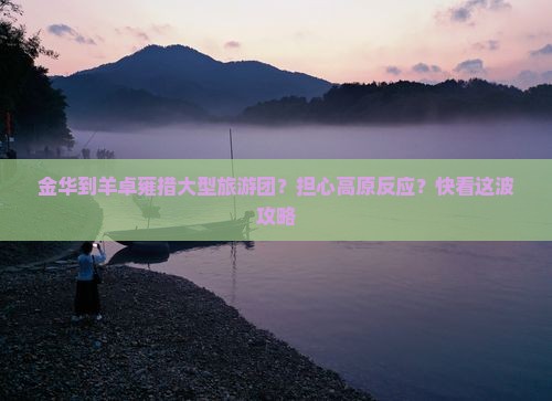 金华到羊卓雍措大型旅游团？担心高原反应？快看这波攻略