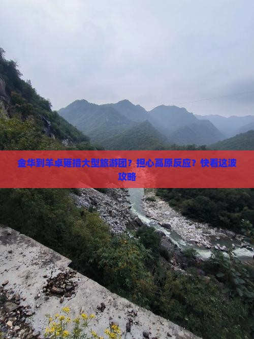 金华到羊卓雍措大型旅游团？担心高原反应？快看这波攻略