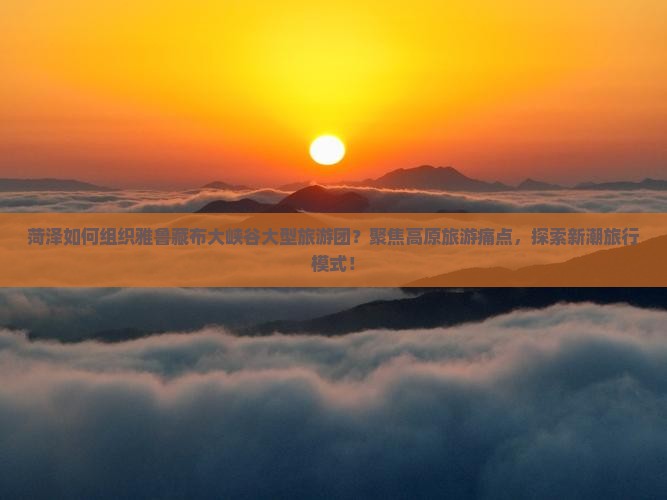 菏泽如何组织雅鲁藏布大峡谷大型旅游团？聚焦高原旅游痛点，探索新潮旅行模式！