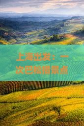 上海出发：一次巴松措景点国际旅行社公司专属旅游攻略