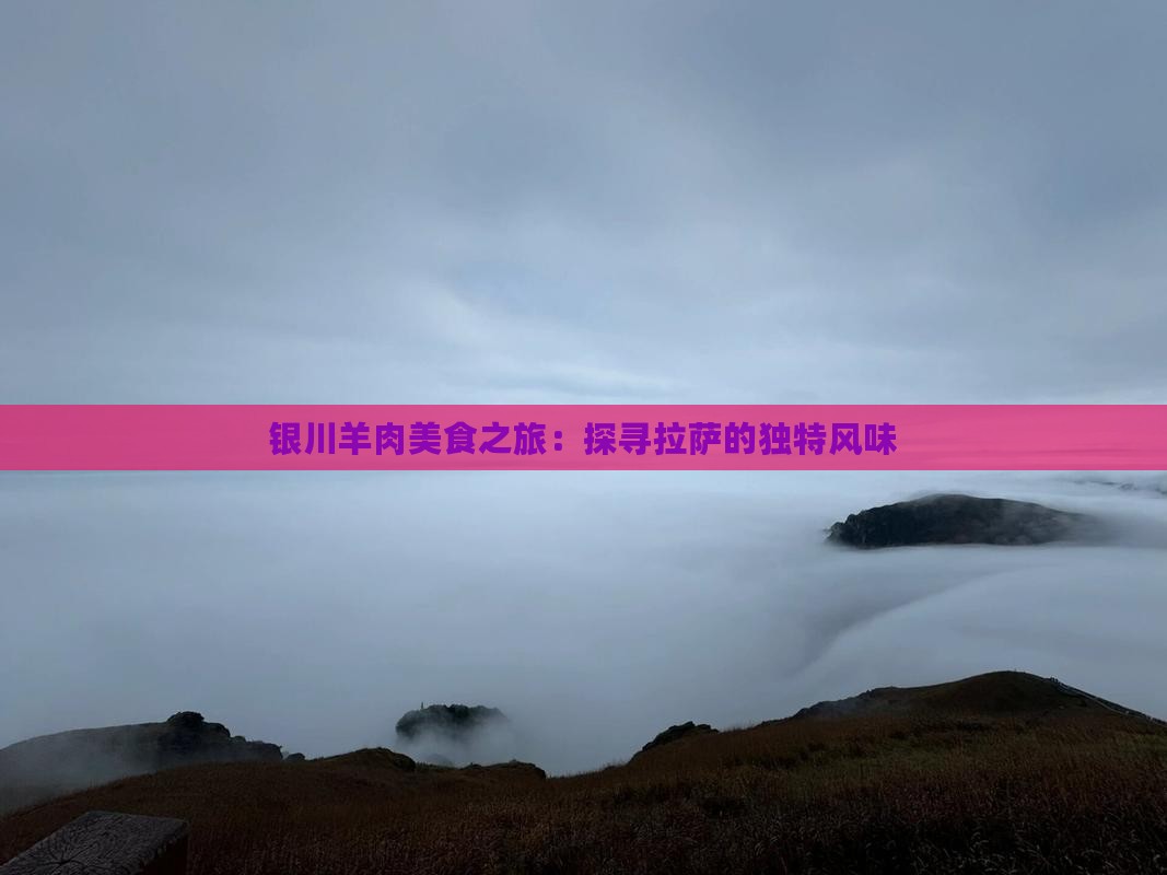 银川羊肉美食之旅：探寻拉萨的独特风味